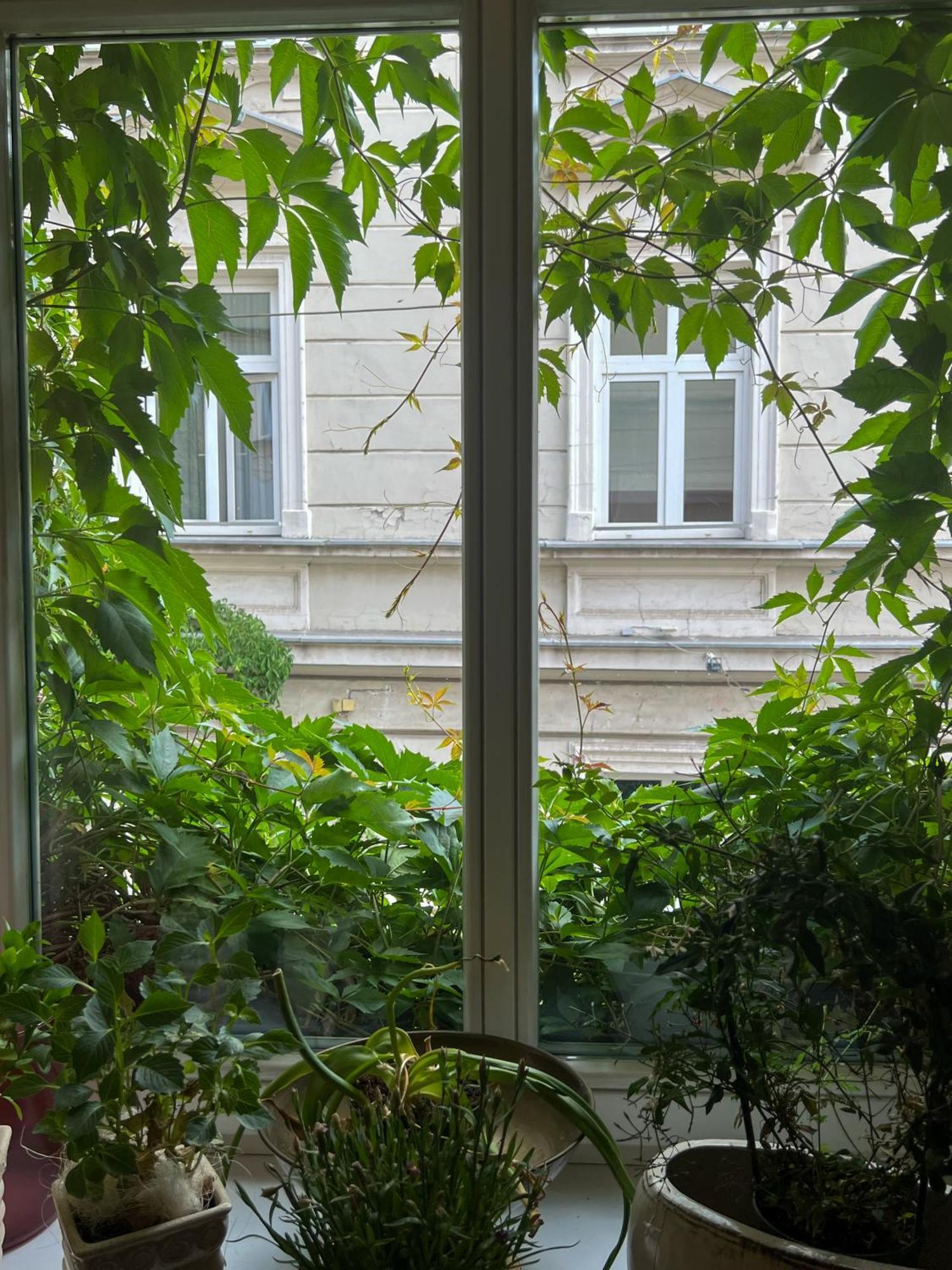 Aparthotel Karmel Krasków Eksteriør bilde
